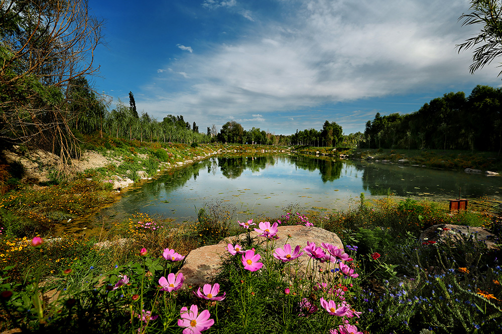伊犁河旅游风景区_图说伊宁